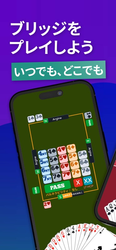 Fun Bridge screenshot 2