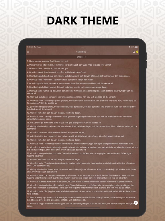 Swedish Holy Bible iPad screenshot 7 - Reference app