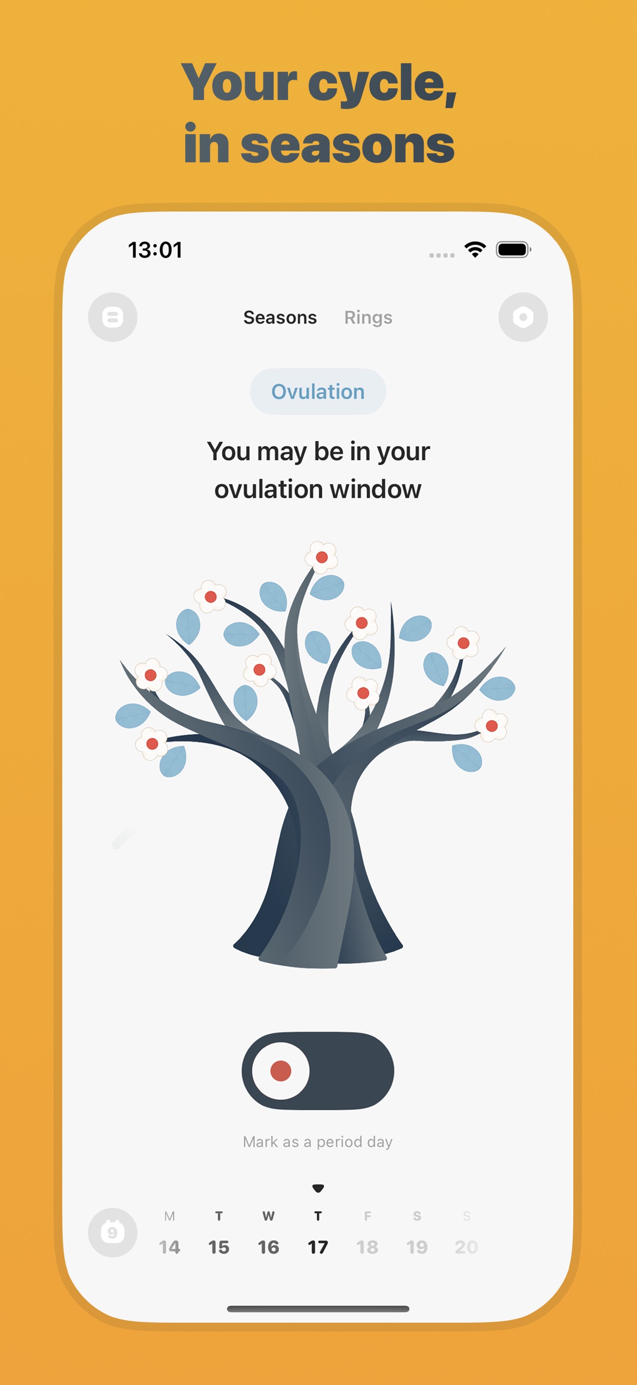 Screenshot 2 of Noring: Period Tracker