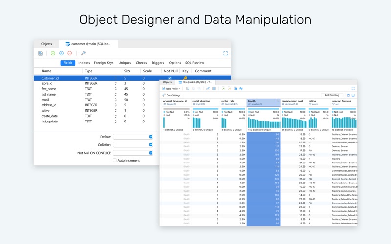 Navicat 17 for SQLite app screenshot 2
