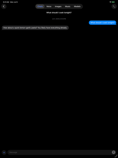 MLX-Serve screenshot 10
