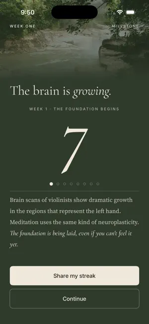Steady Meditation screenshot 3