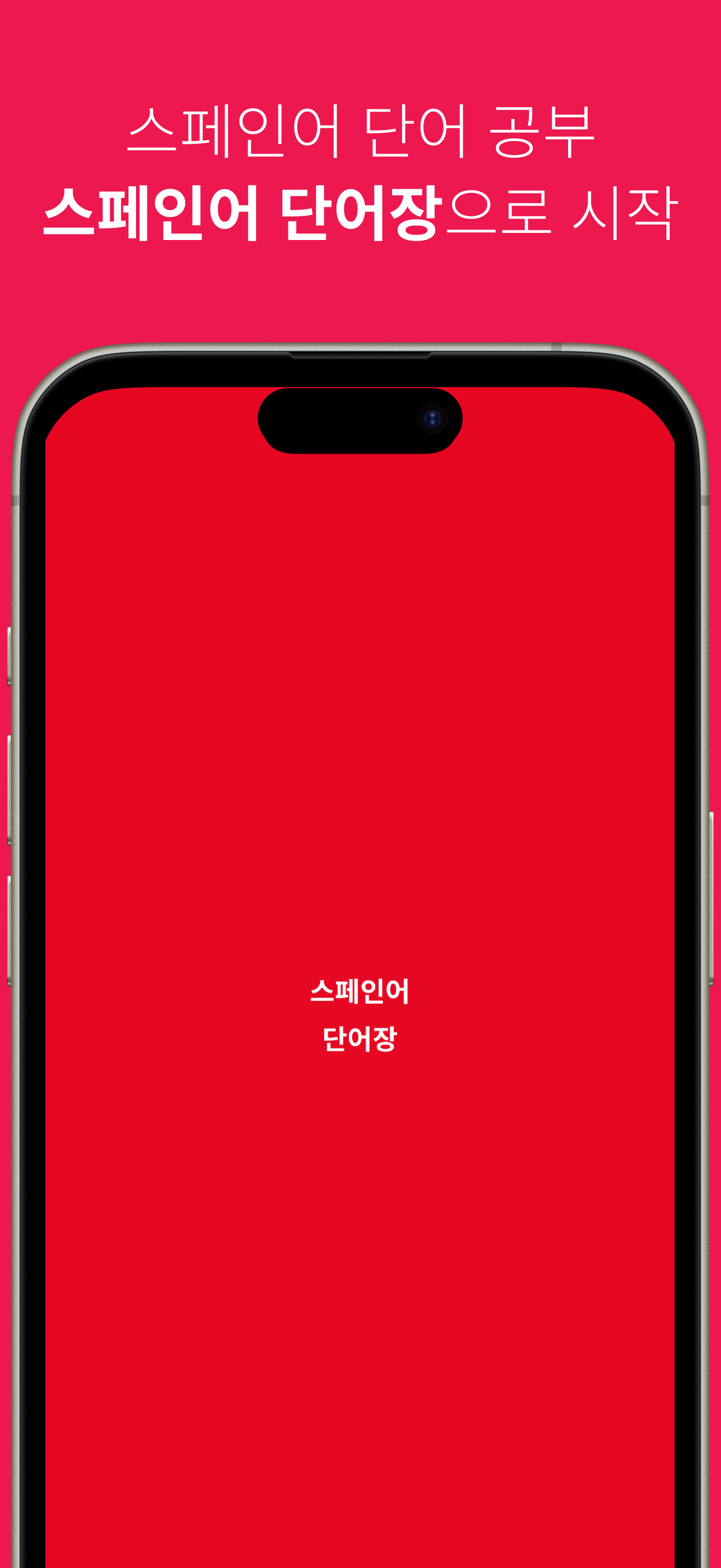 스페인어 단어장 screenshot 8