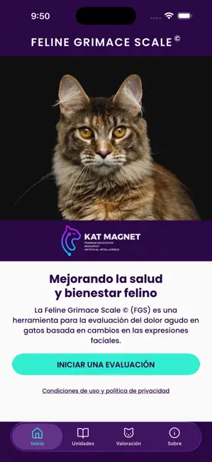 Feline Grimace Scale iPhone screenshot 1