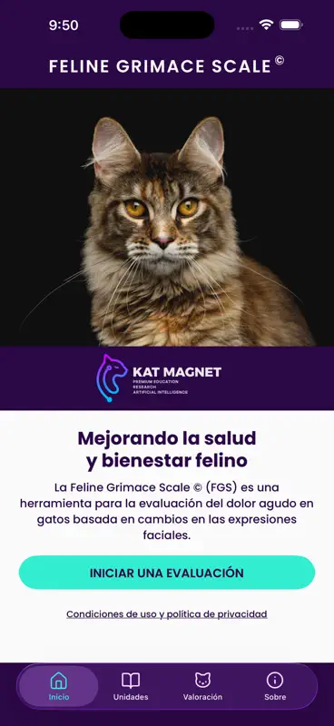 Feline Grimace Scale screenshot 1 of 5