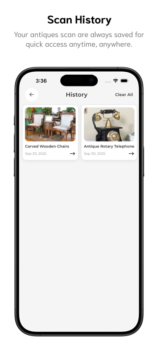 Antique Identifier - AI Screenshot 4 of 4