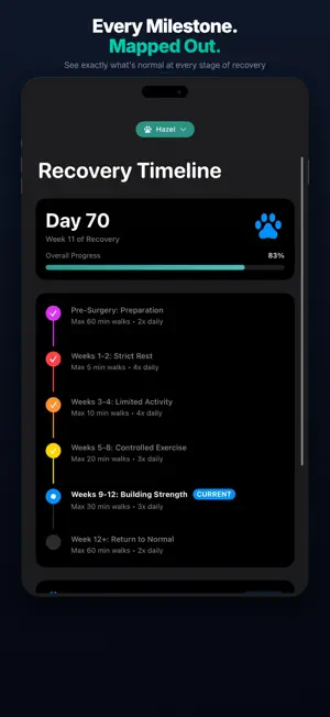 Pawcovery screenshot 2