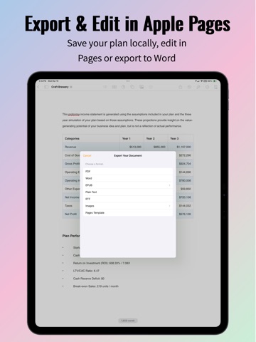 Monét - Startup Plan Builder iPad screenshot