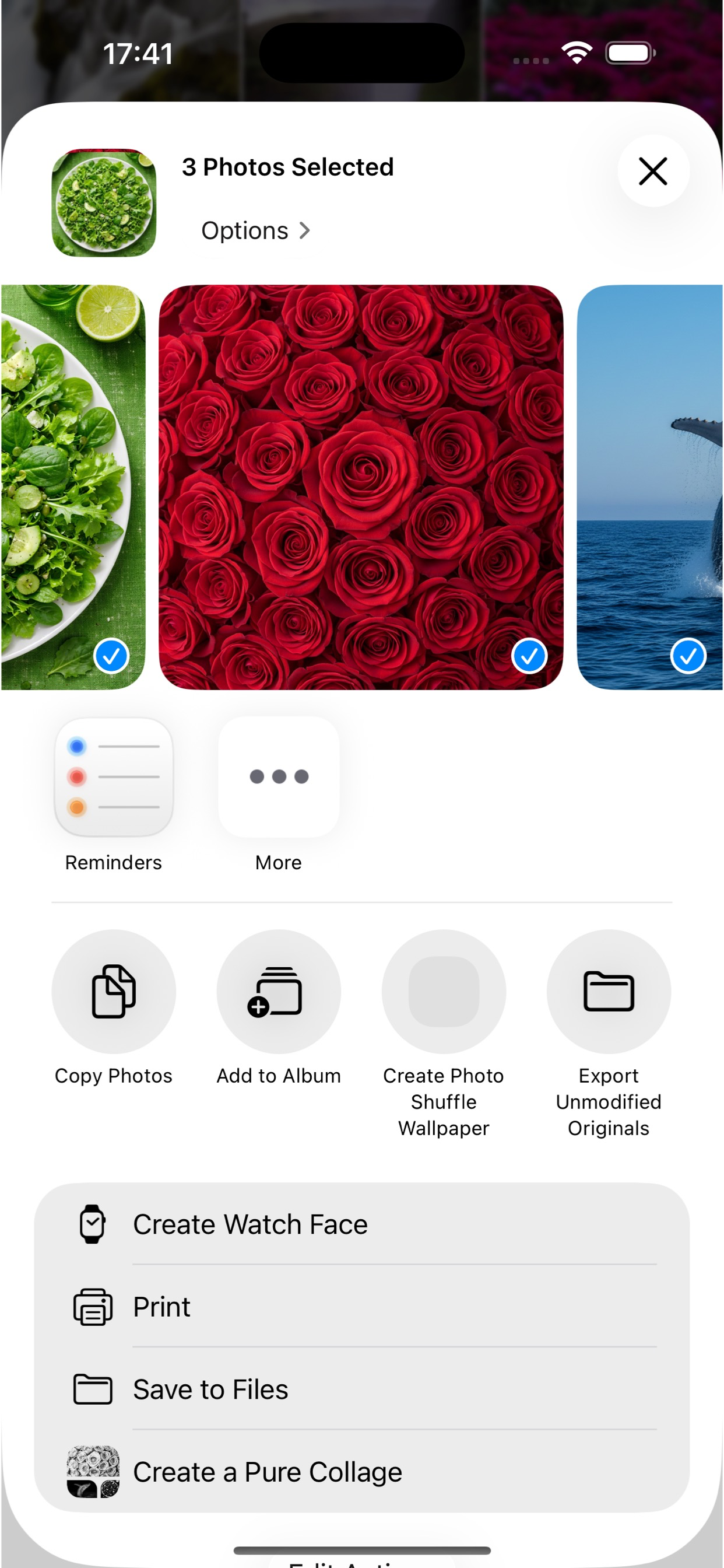 Pure Collages screenshot 8