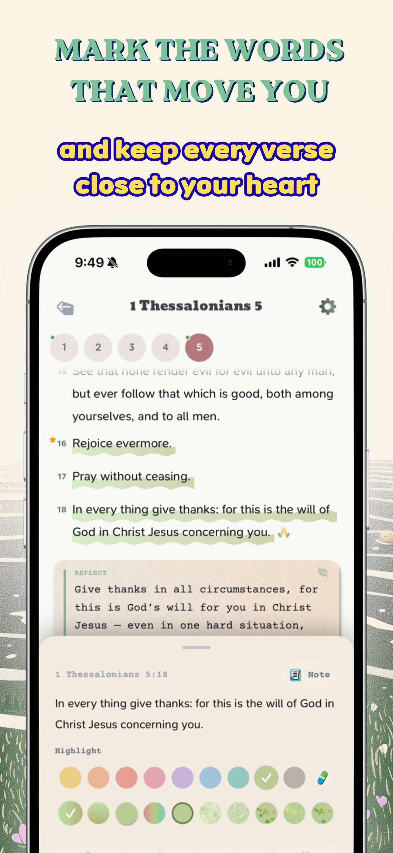 Thankful - Daily Gratitude