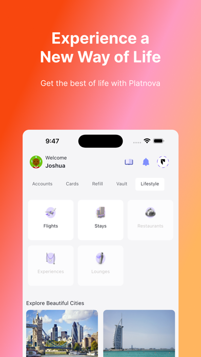 Platnova Screenshot