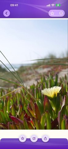 PixJey screenshot 8