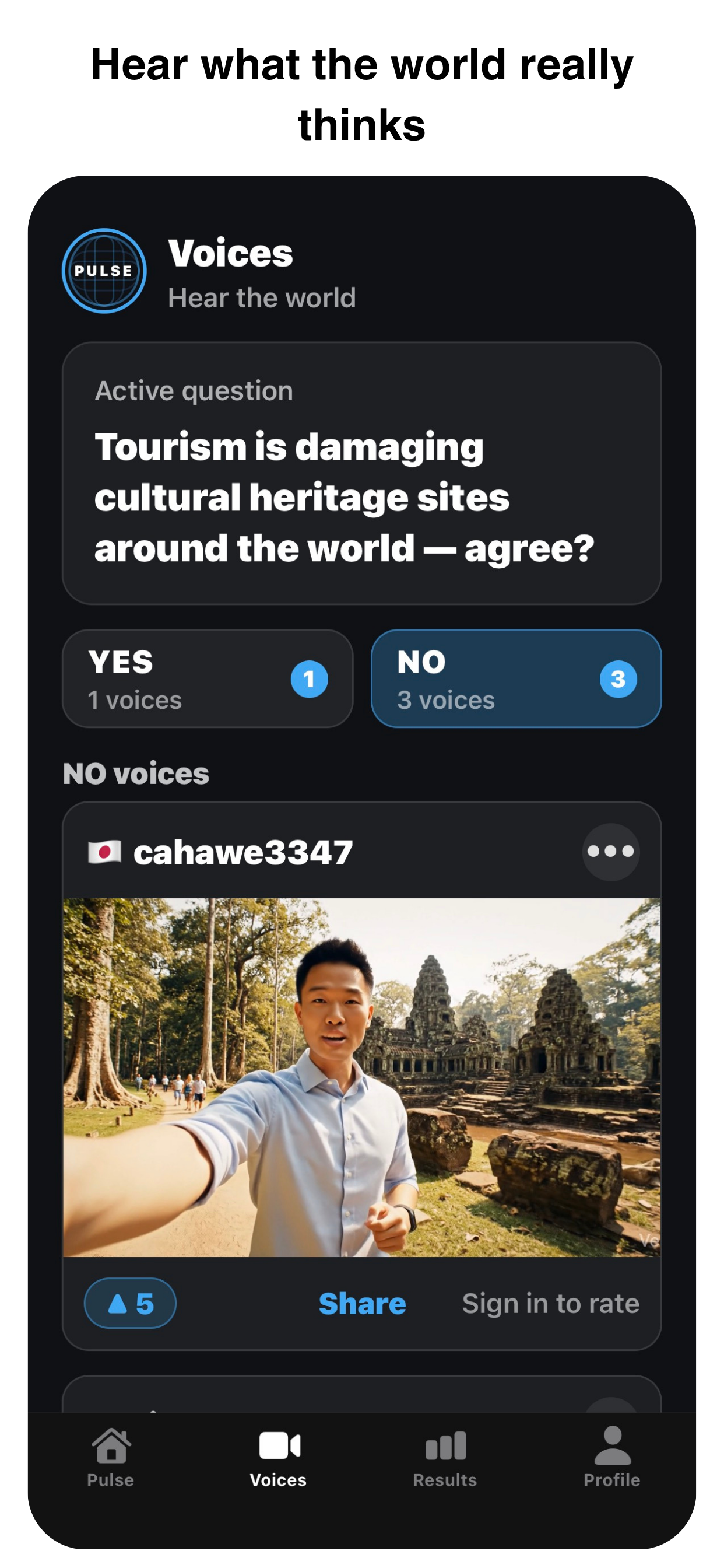Pulse - Hear the World screenshot 2