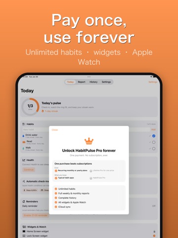 HabitPulse: Habit Tracker iPad screenshot