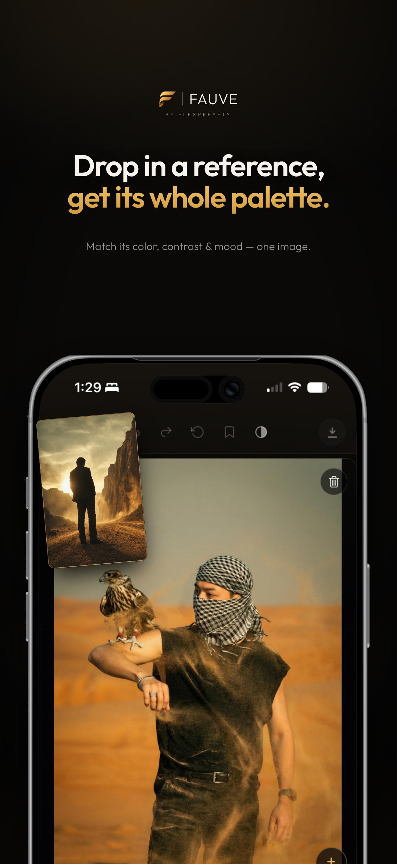 Fauve by FlexPresets screenshot 3