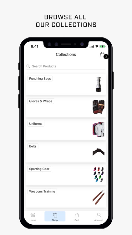 Century Martial Arts