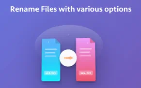 batch file renamer pro iphone images 1