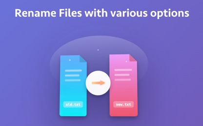 Batch File Renamer Pro screenshot 1