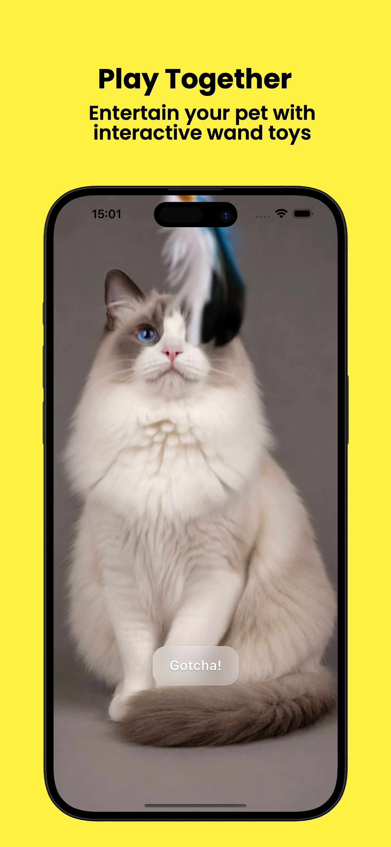 Hi Pet - Virtual Pet Care screenshot 7