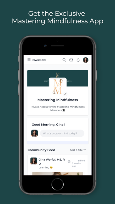 Mastering Mindfulness Screenshot