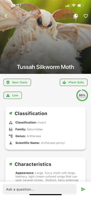 InsectSnap: AI Bug Identifier screenshot 3