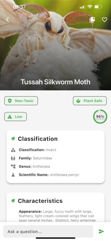 InsectSnap: AI Bug Identifier Screenshot 3 of 5