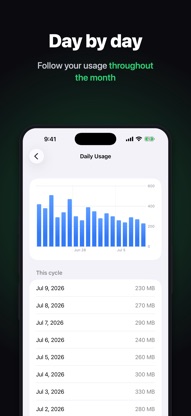 BitMeter: Data Usage Widget screenshot 3