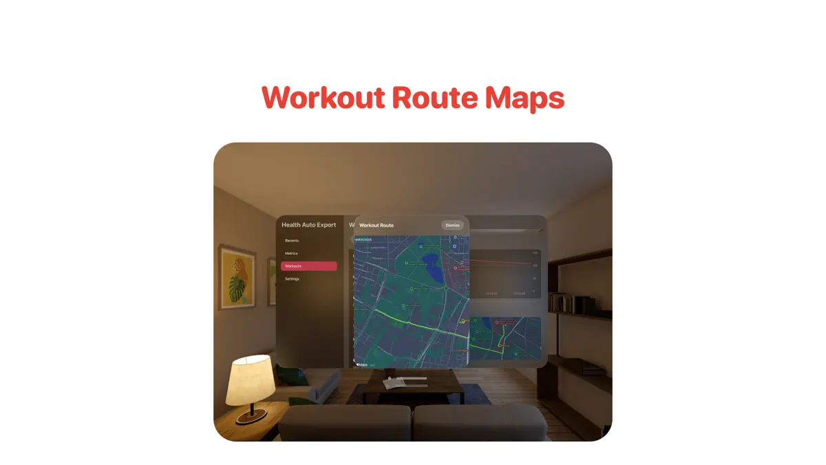 Health Auto Export - JSON+CSV screenshot 3