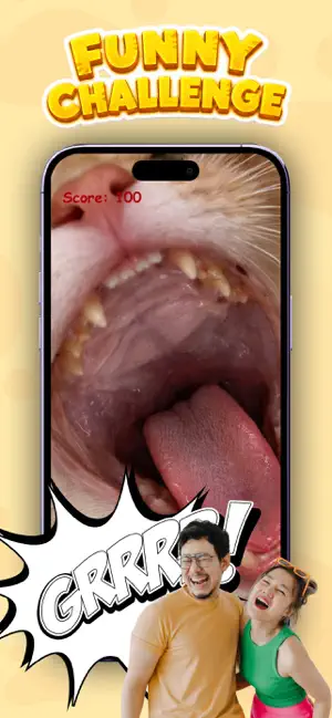 Brush Orange Cat Challenge screenshot 2