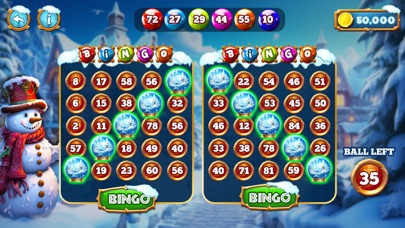 Brazi Bingo Screenshot