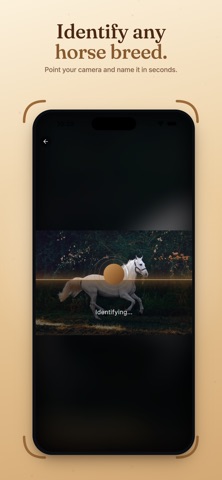 Horse Identifier & Breed ID screenshot