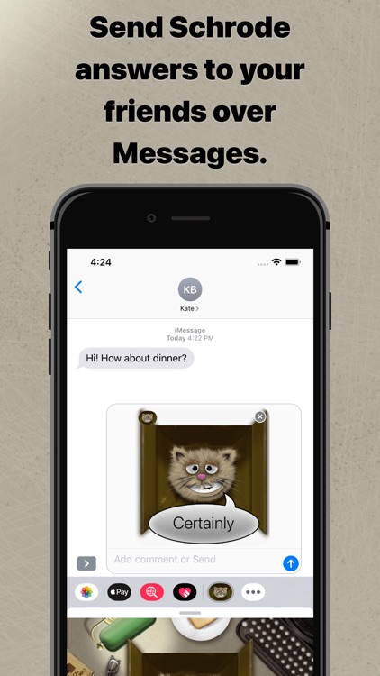 Schrode the Cat screenshot-5