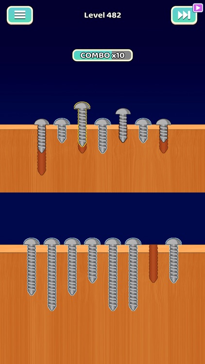 Screw Sorting Quest screenshot-5