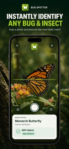 Bug Spotter: Insect Identifier Screenshot 1 of 5