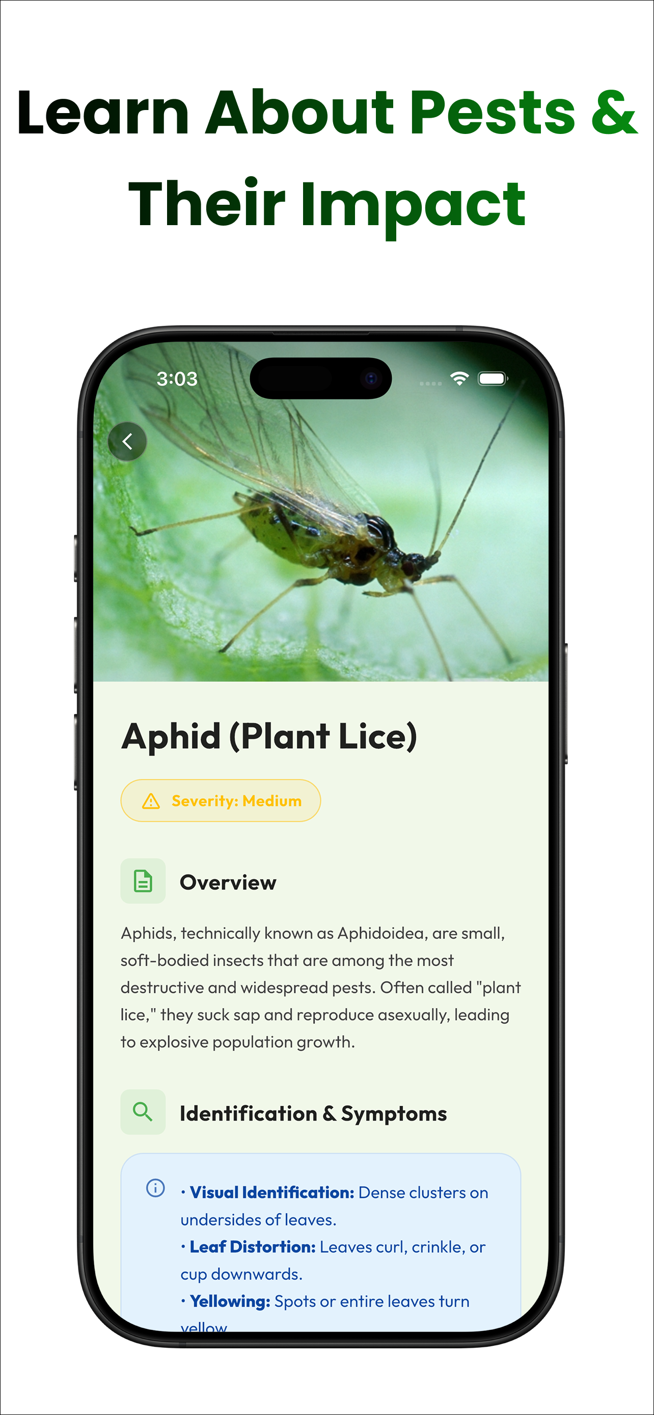 AI Pest Identifier Plant Care