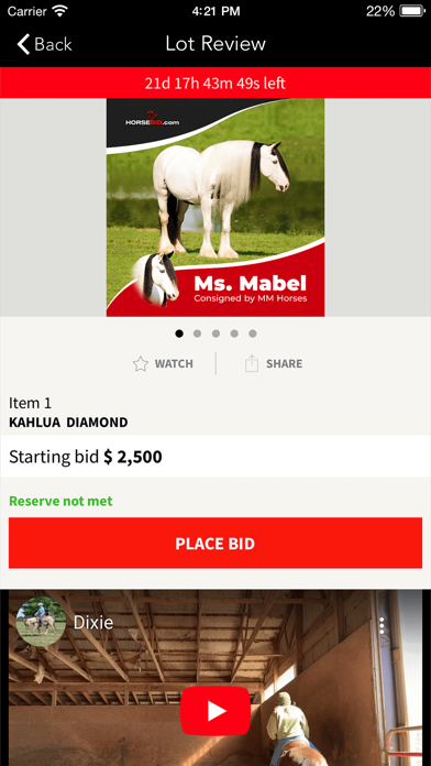 HorseBid Screenshot