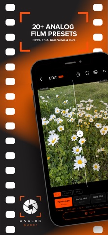 Analog Buddy screenshot