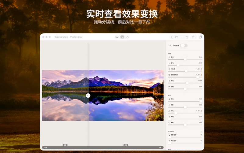 Color Grading - Photo Editor screenshot