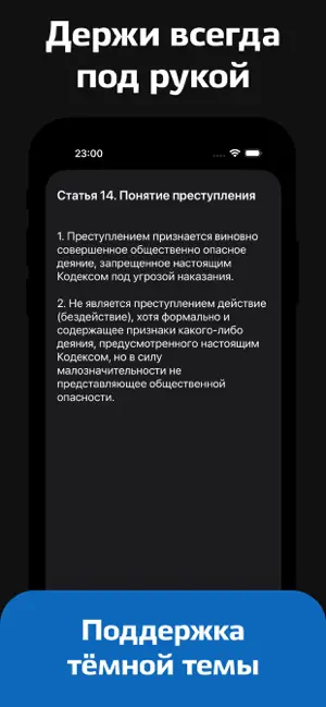 Уголовный Кодекс России iPhone screenshot 4