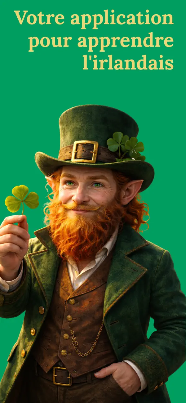 Screenshot #1 pour BNR: Apprendre l'irlandais