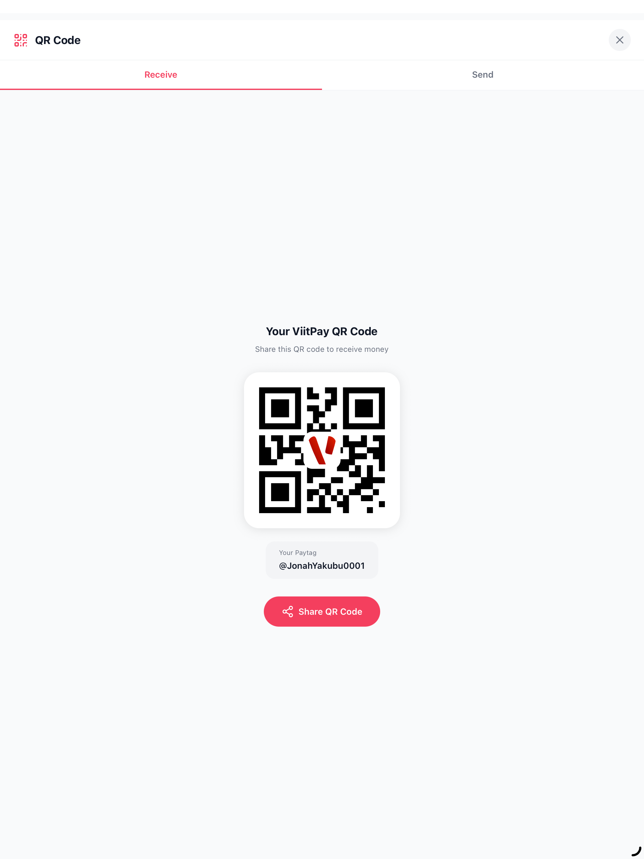 Viitpay screenshot 5