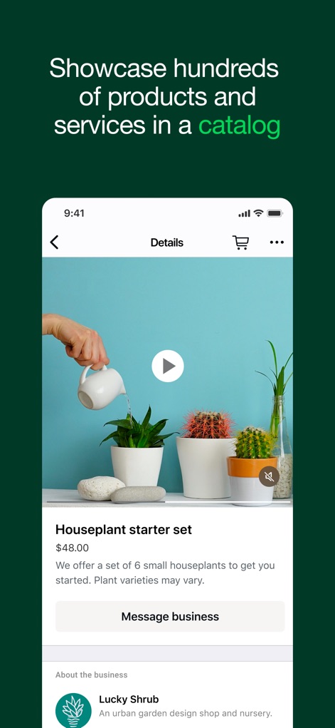 WhatsApp Business - Comprehensive Product Showcase