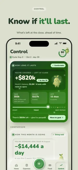 Manifiesto: Daily Budget screenshot 4