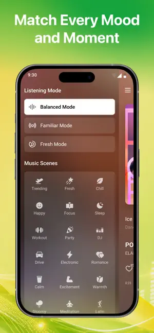 LemonMusic screenshot 3