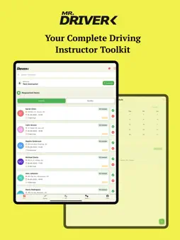 Mr Driver Instructor screenshot 6