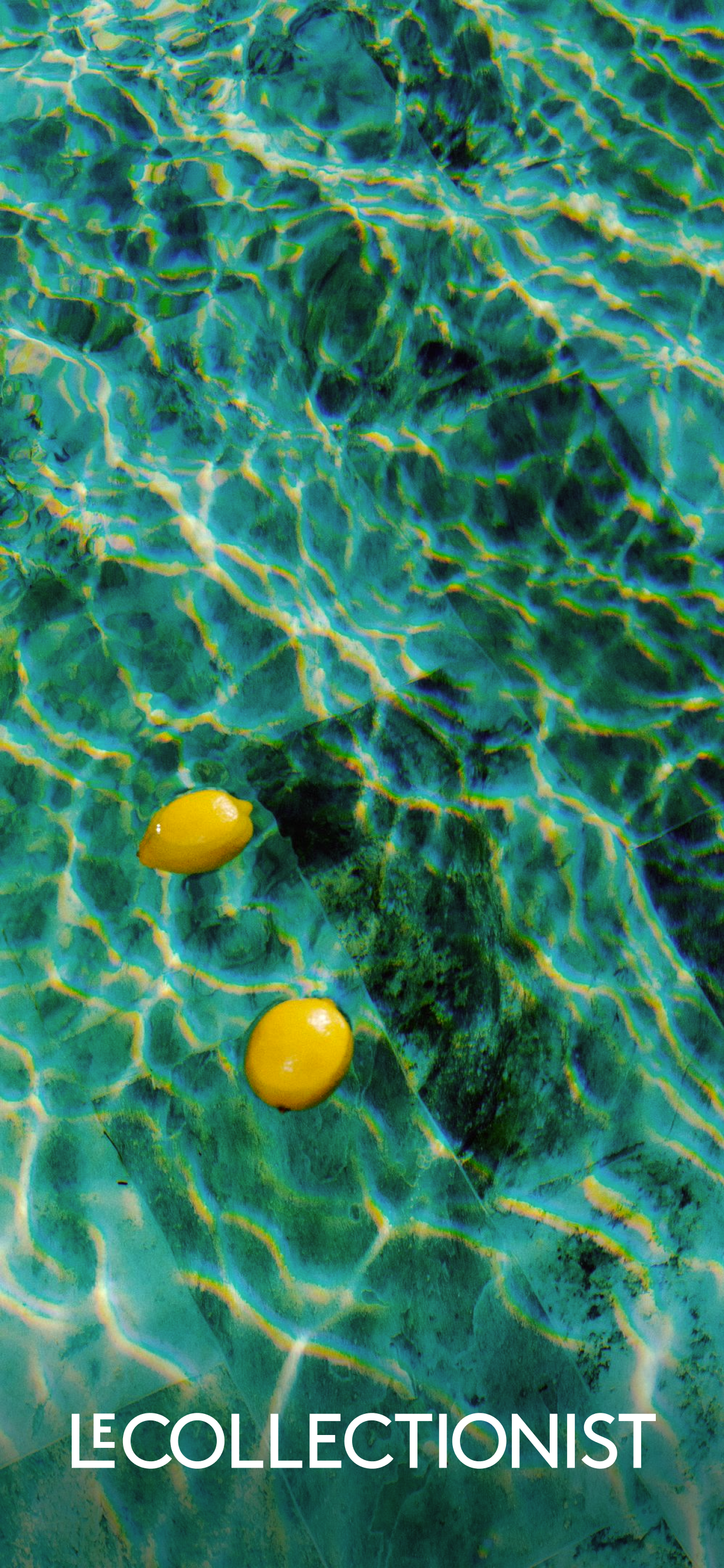 Le Collectionist screenshot 7