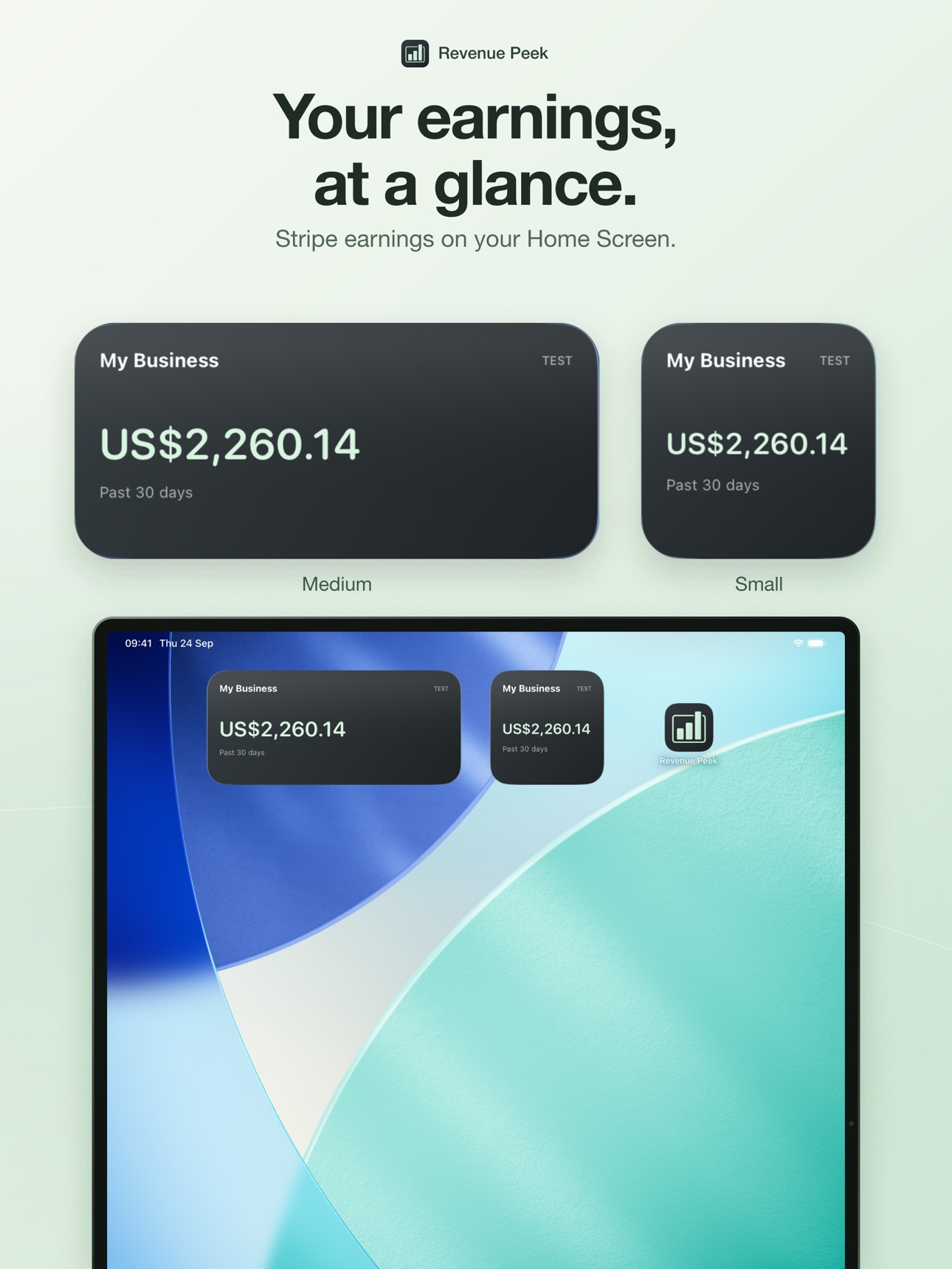 Screenshot 5 of Revenue Peek: Stripe Widget