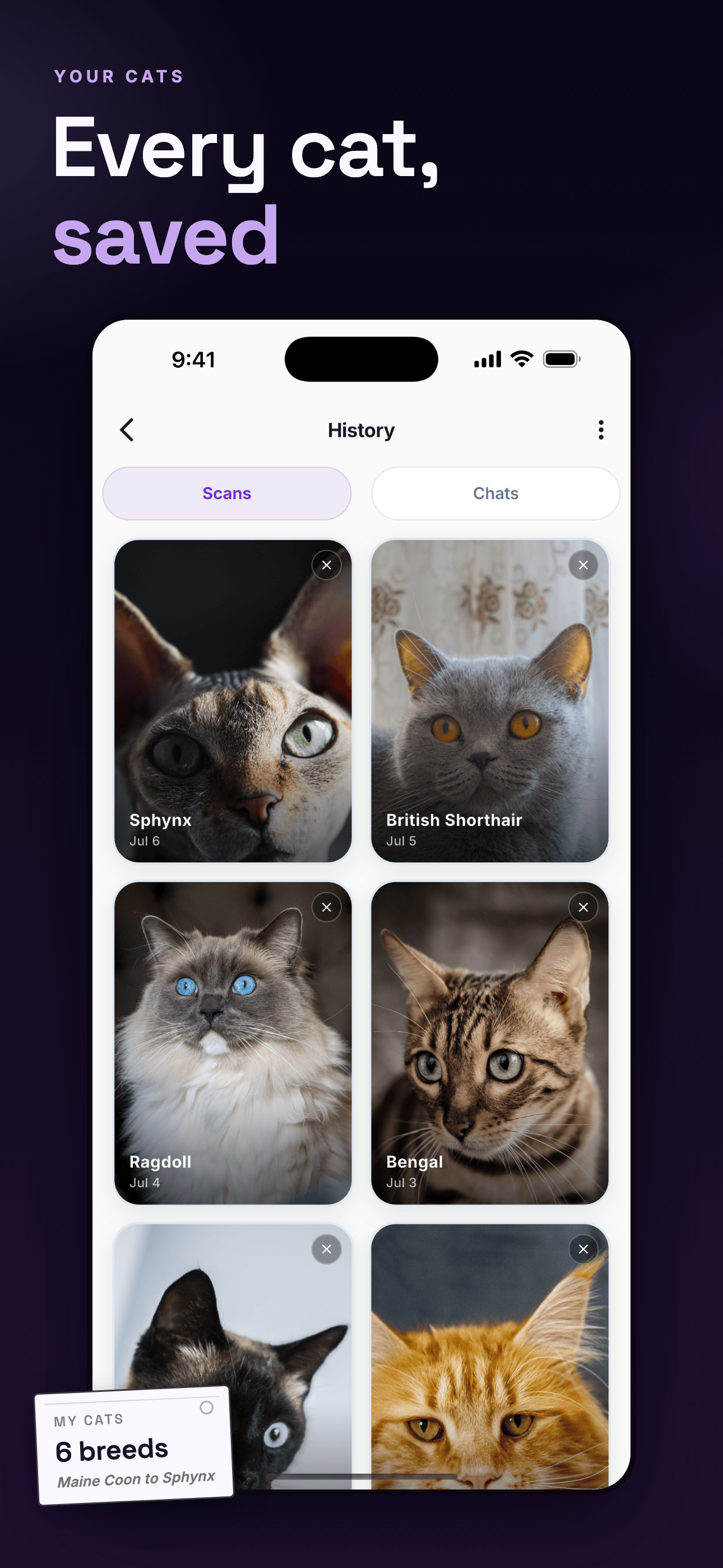 Cat Breed Identifier: Scan screenshot 3