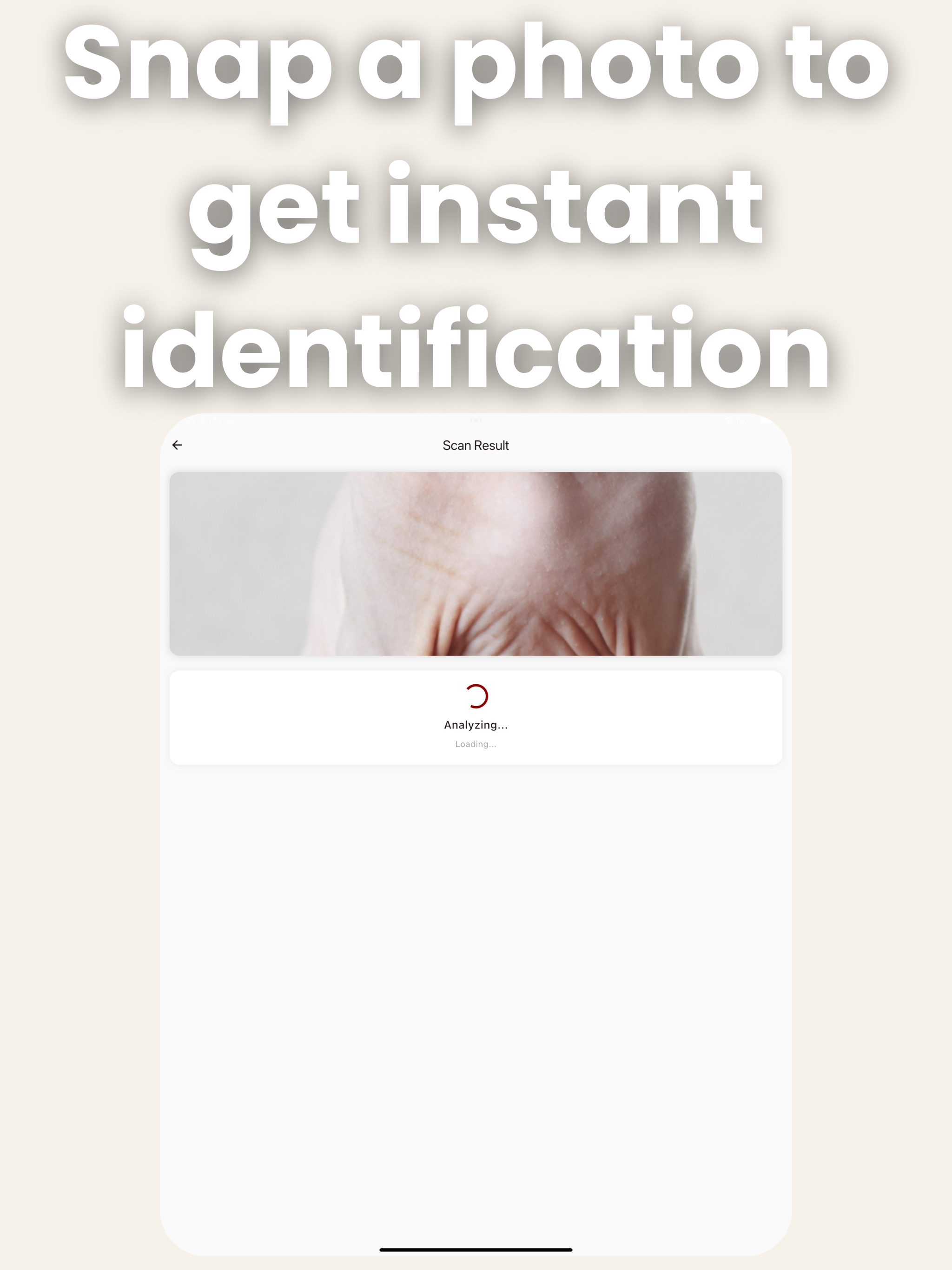 Cat Breed Identifier: AI Scan screenshot 6