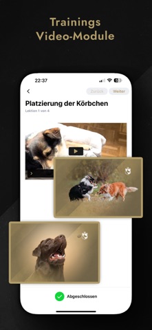 InsideDog - Hundeerziehung iPhone screenshot